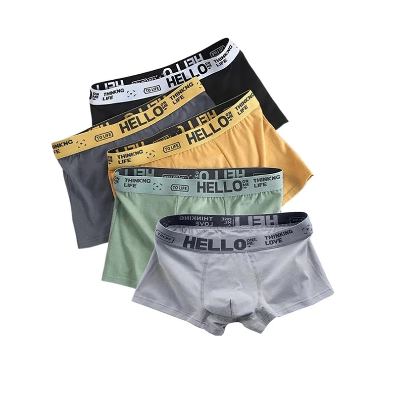 5Pcs Mens Underwear Male Boxers Sexy Underpants Comfortable Breathable Underwear Boxer shorts Men