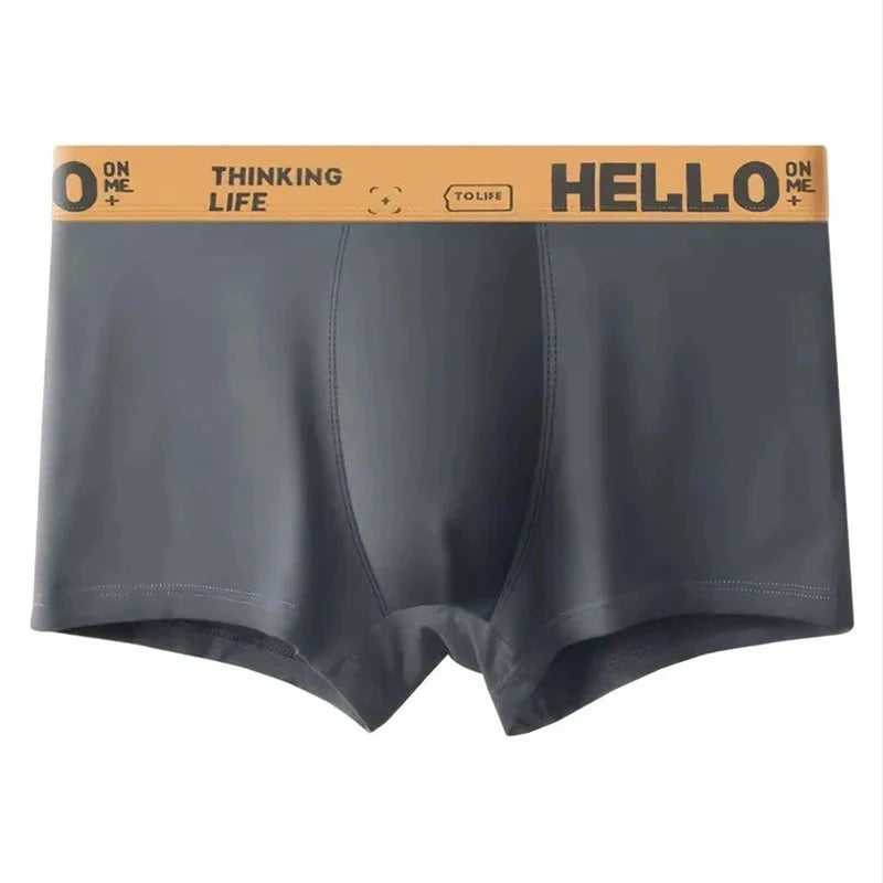 5Pcs Mens Underwear Male Boxers Sexy Underpants Comfortable Breathable Underwear Boxer shorts Men