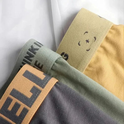 5Pcs Mens Underwear Male Boxers Sexy Underpants Comfortable Breathable Underwear Boxer shorts Men