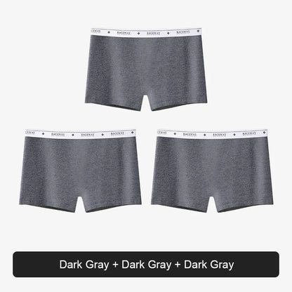 Women’s Plus Size Seamless Safety Shorts – Breathable Anti-Bacterial Summer Underwear